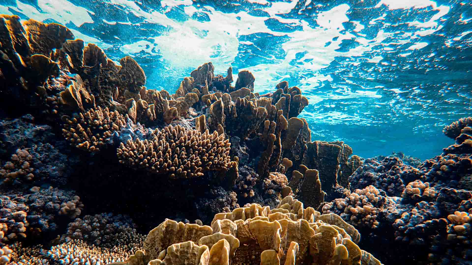 Stock Image Career Opportunities