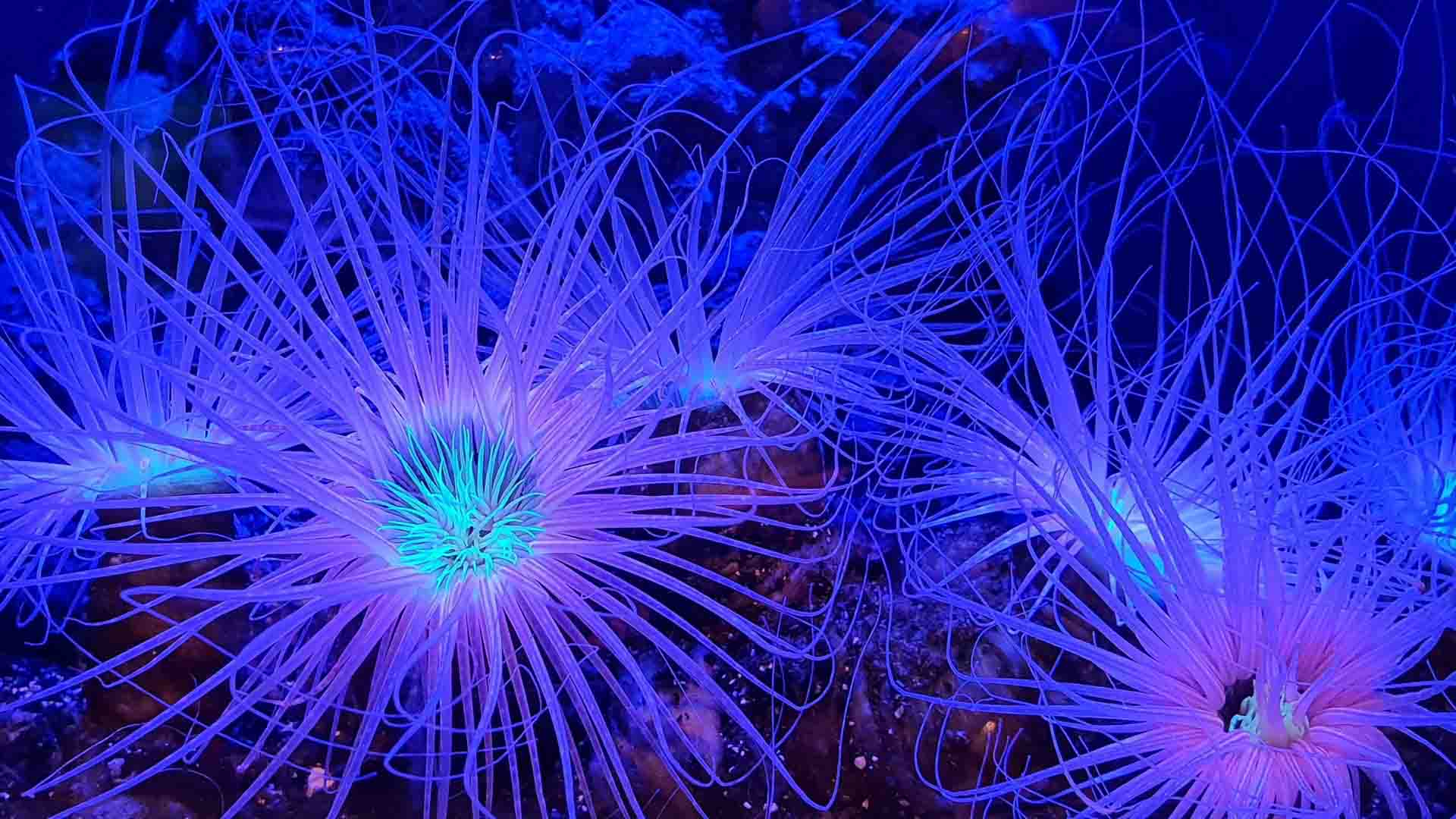 Stock Image Career Opportunities