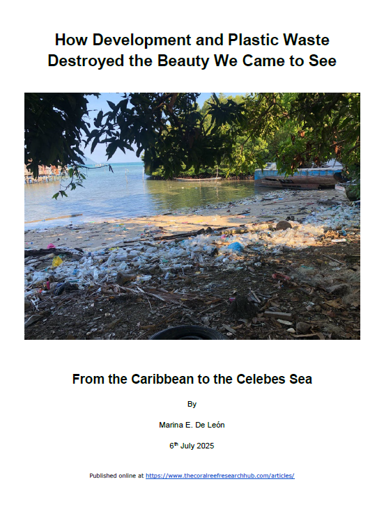 How Development and Plastic Waste Destroyed the Beauty We Came to See – From the Caribbean to the Celebes Sea