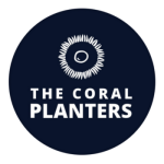 Coral Planters_1