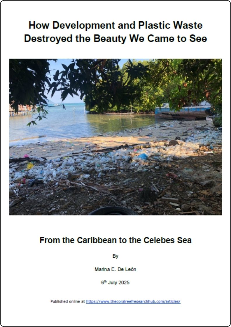 How Development and Plastic Waste Destroyed the Beauty We Came to See – From the Caribbean to the Celebes Sea