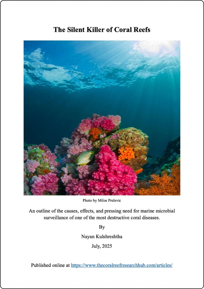 Black Band Disease – The Silent Killer of Coral Reefs