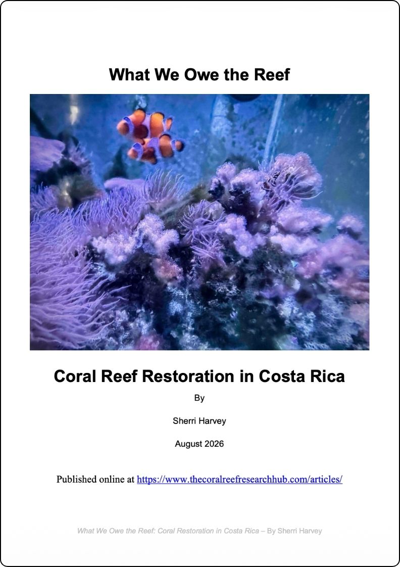 What We Owe the Reefs: Coral Restoration in Costa Rica